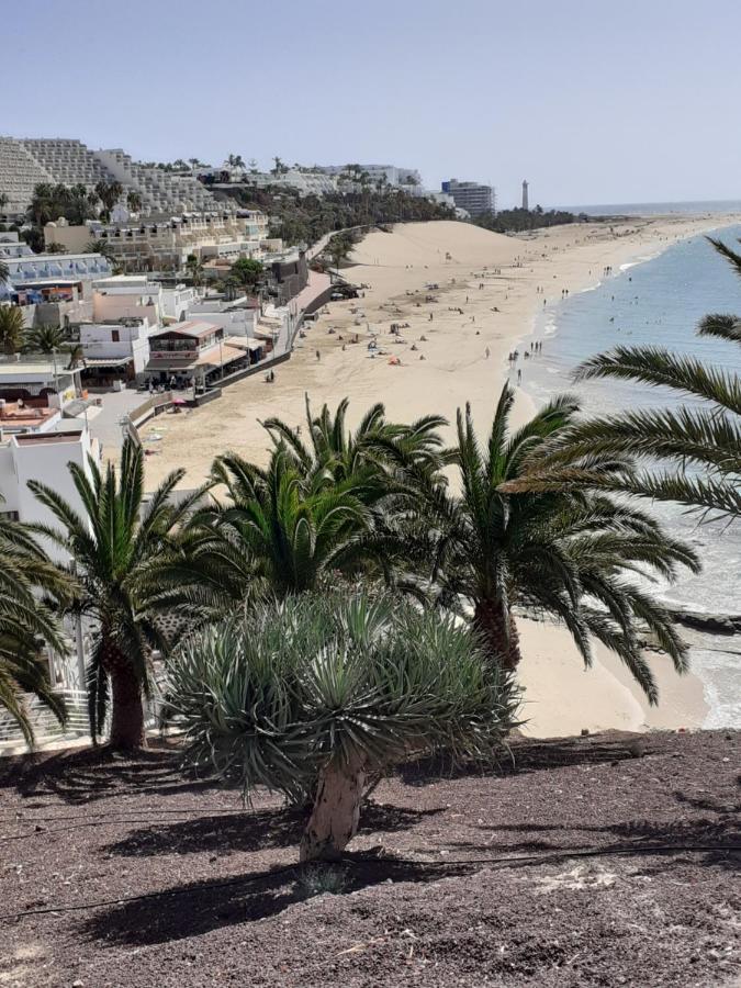 Appartamento Playa Mirar In Palm Garden Morro Jable  Esterno foto